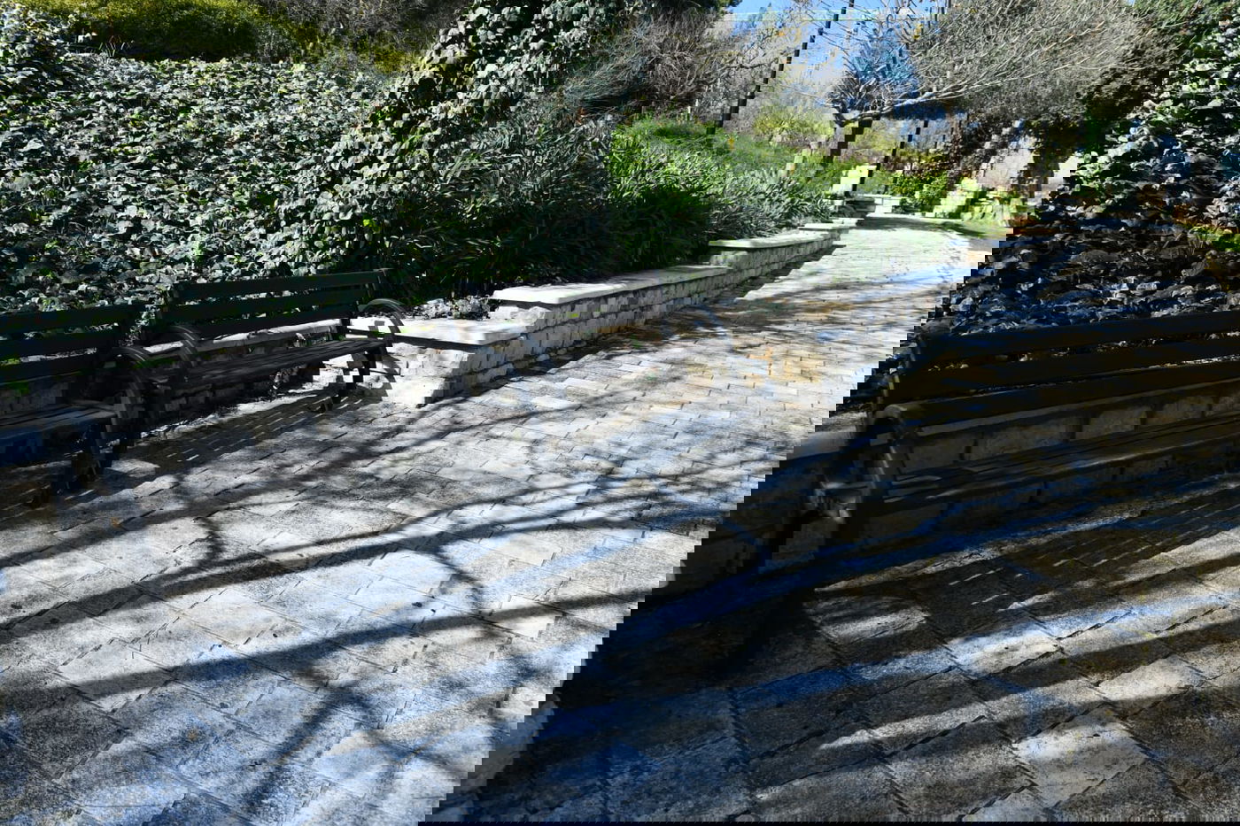 בין הסמטאות • צפו בתיעוד המיוחד של צפת