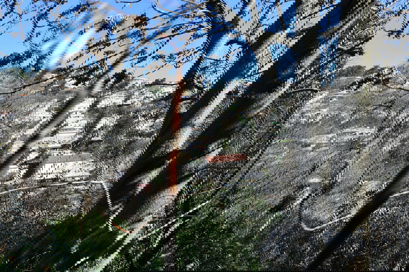 בין הסמטאות • צפו בתיעוד המיוחד של צפת