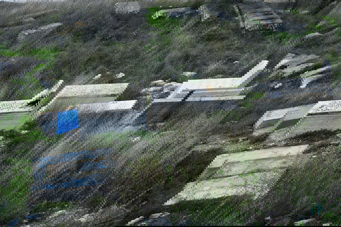 בין הסמטאות • צפו בתיעוד המיוחד של צפת