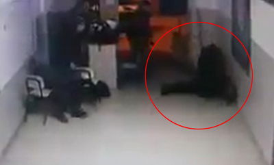 צפו: רגע הירי לעבר השוטר הפלסטיני שמת