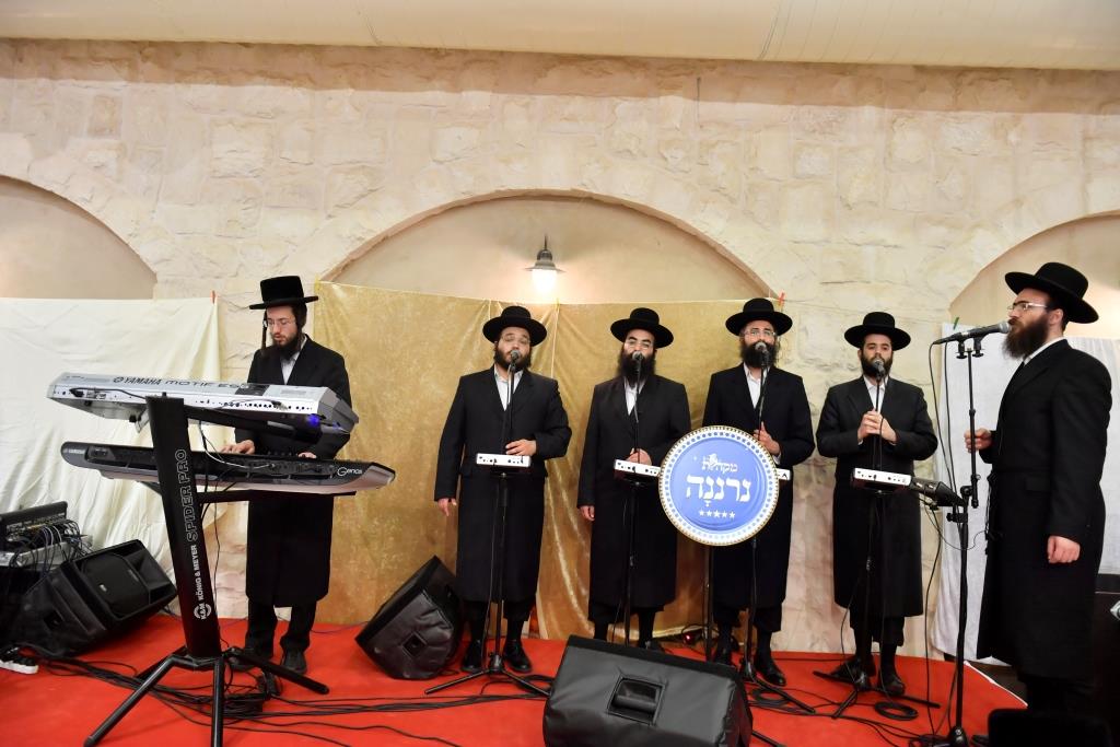 המסע המלא של נגידי ויז'ניץ בראשות הרבי לסיני - צפו