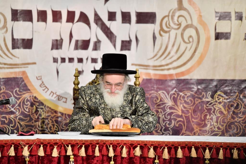 המסע המלא של נגידי ויז'ניץ בראשות הרבי לסיני - צפו