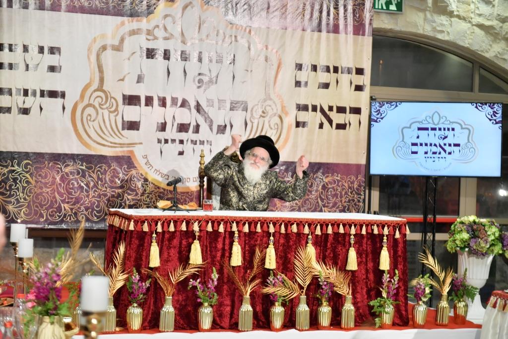 המסע המלא של נגידי ויז'ניץ בראשות הרבי לסיני - צפו