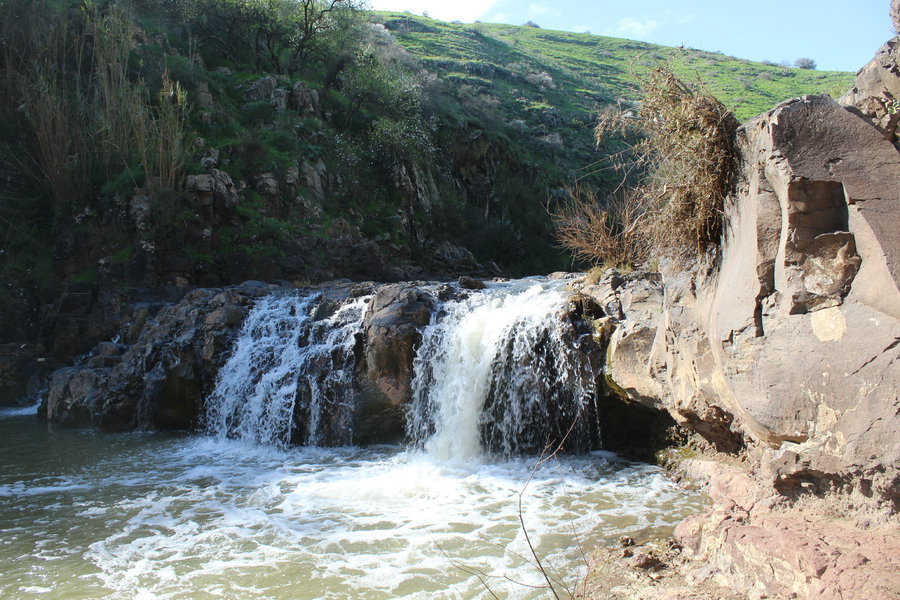 בריכת נחל תבור