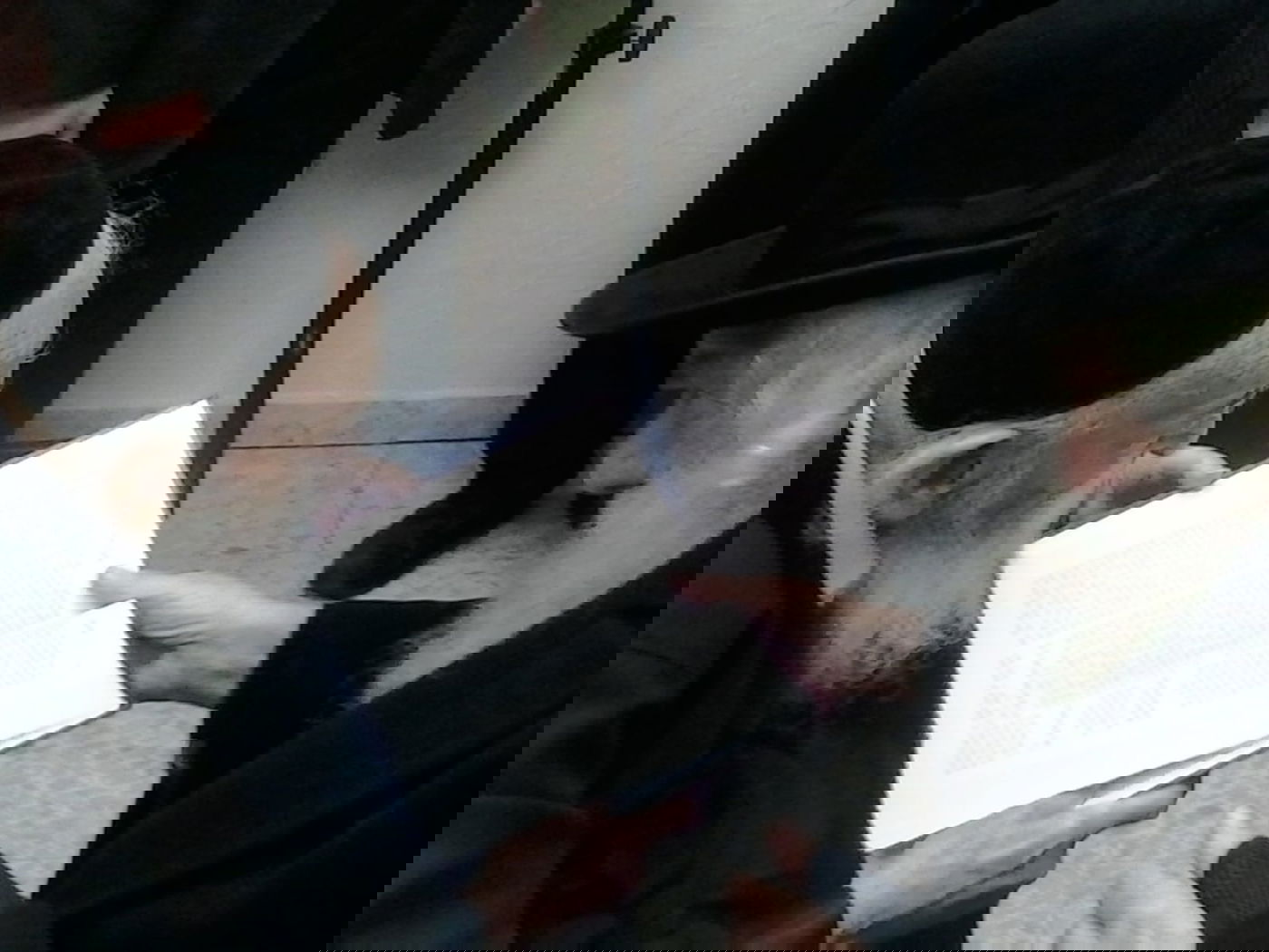 הגרמ"ד סולובייצ'יק מתאושש מחוליו • האזינו