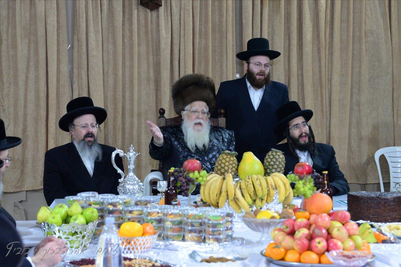 חסידי שאץ - ויז'ניץ חגגו את ראש השנה לאילנות