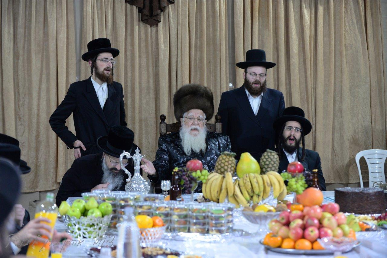 חסידי שאץ - ויז'ניץ חגגו את ראש השנה לאילנות