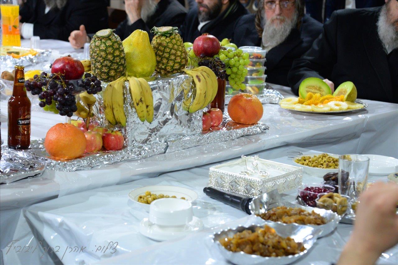 חסידי שאץ - ויז'ניץ חגגו את ראש השנה לאילנות