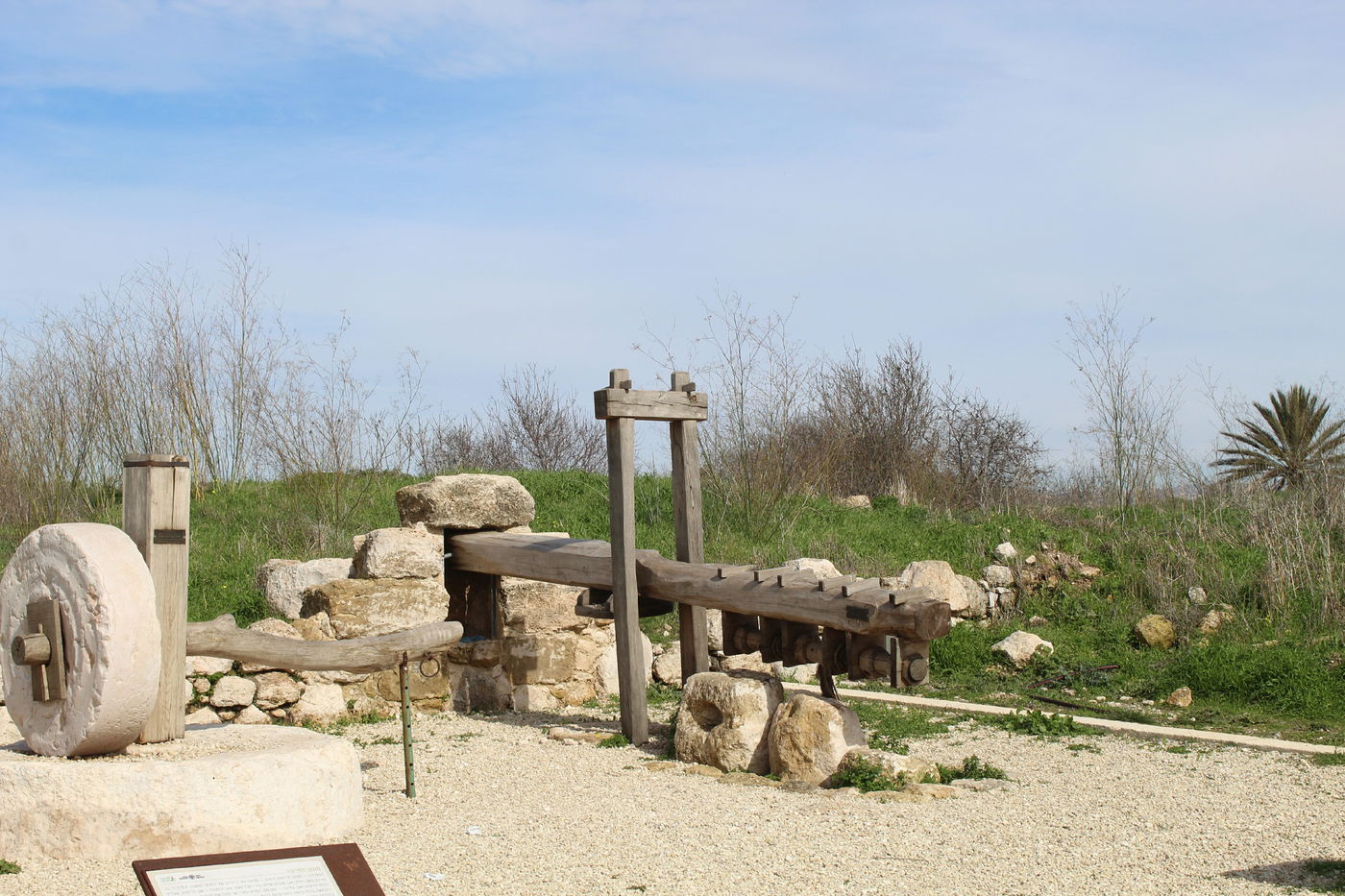 גבעת התיתורה