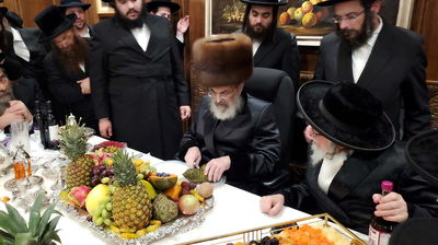 האדמו"ר בחלוקת הפירות (צילום: י. ראנד)