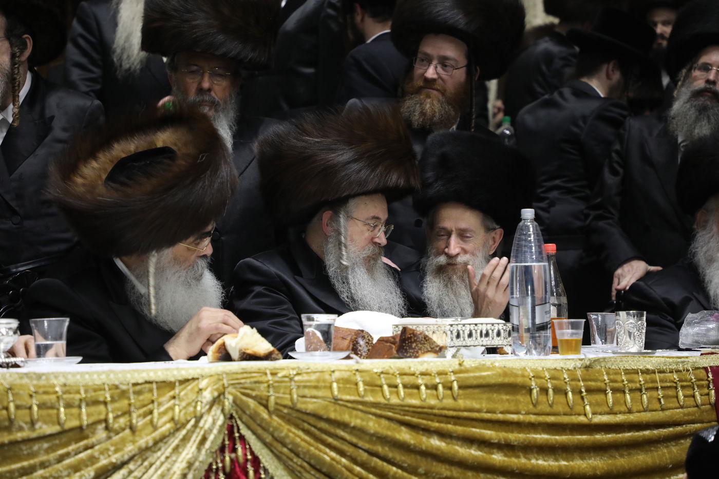 החסידים חגגו בשמחת בית 'דושינסקיא' - 'שבט הלוי' • צפו