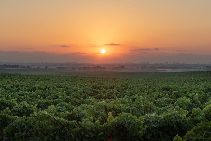 תעלולי האביב: התחממות, שרב ואובך - עם גשמים מקומיים | התחזית המלאה