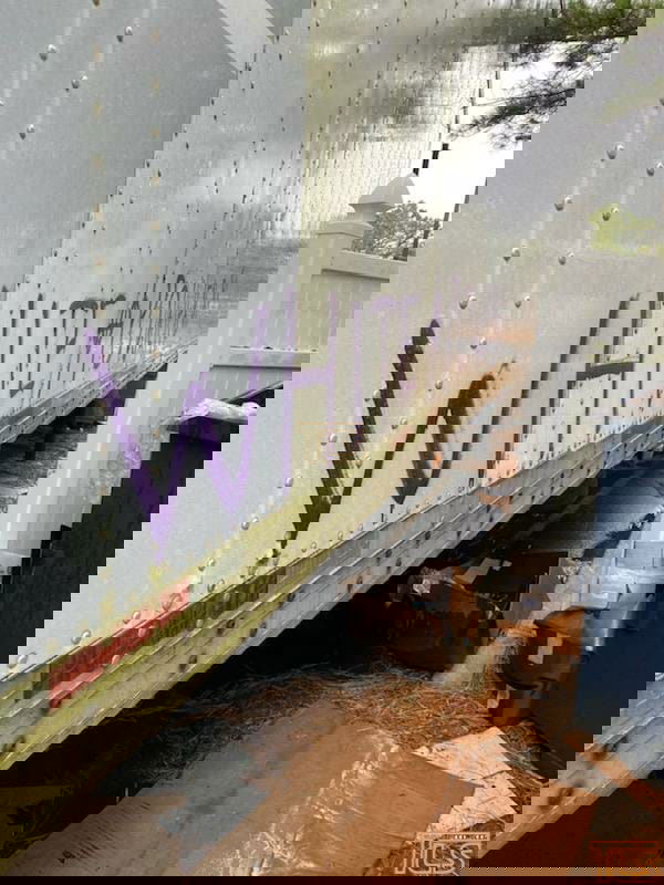 אנטישמיות בניו ג'רזי: צלבי קרס רוססו על בית עסק יהודי