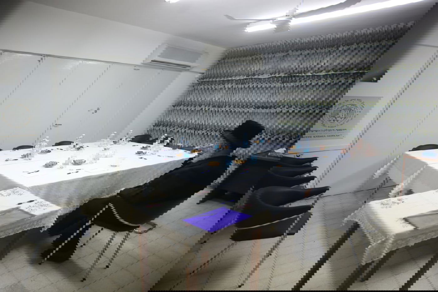 זופניק בכיכר • כל התמונות והנייעס של השבוע