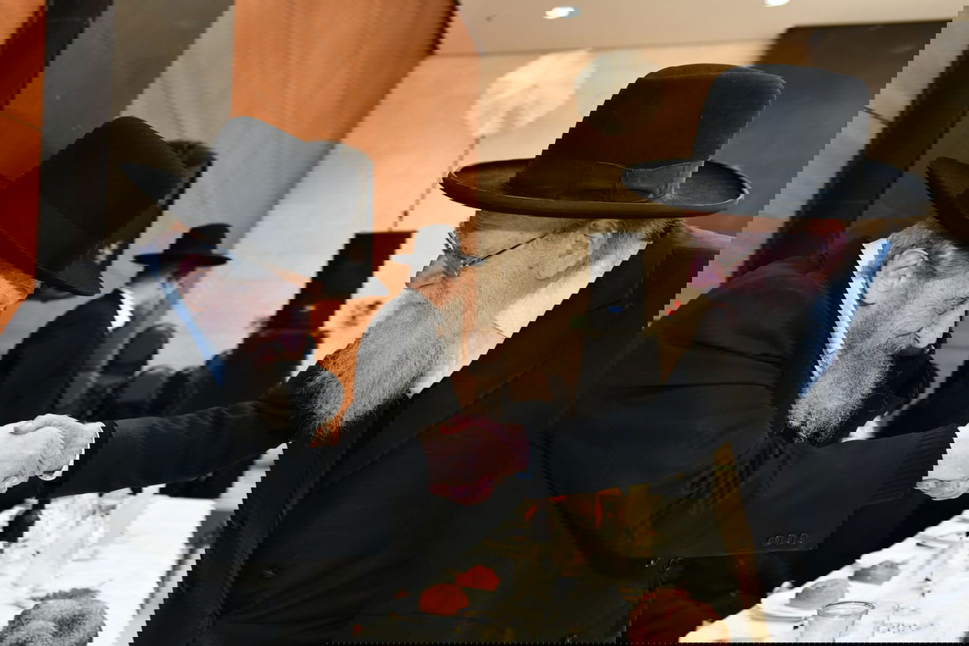 כשהגר"ד לנדו התבשם מניגון הכינור • צפו