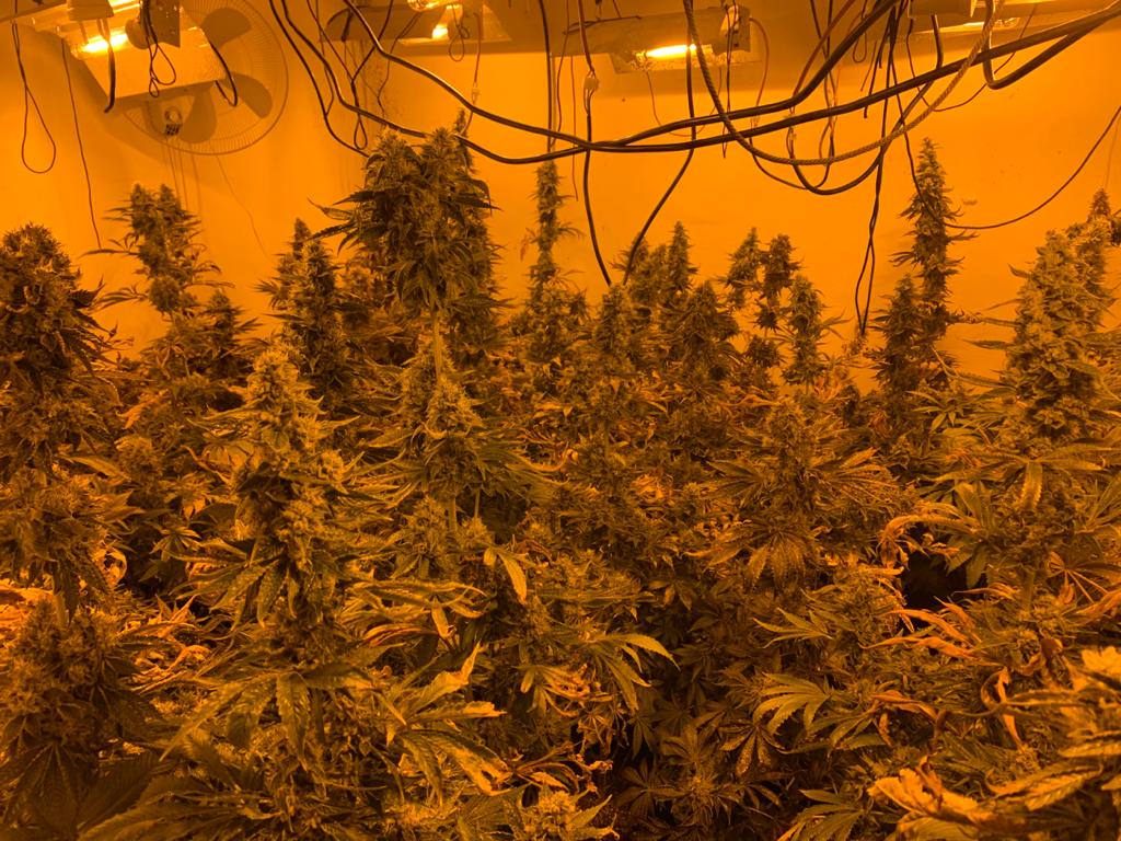 מעבדת סמים ענקית התגלתה בלב בני ברק