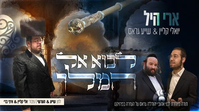 ארי היל, יואלי קליין ושייע גרוס: לבוא אל המלך