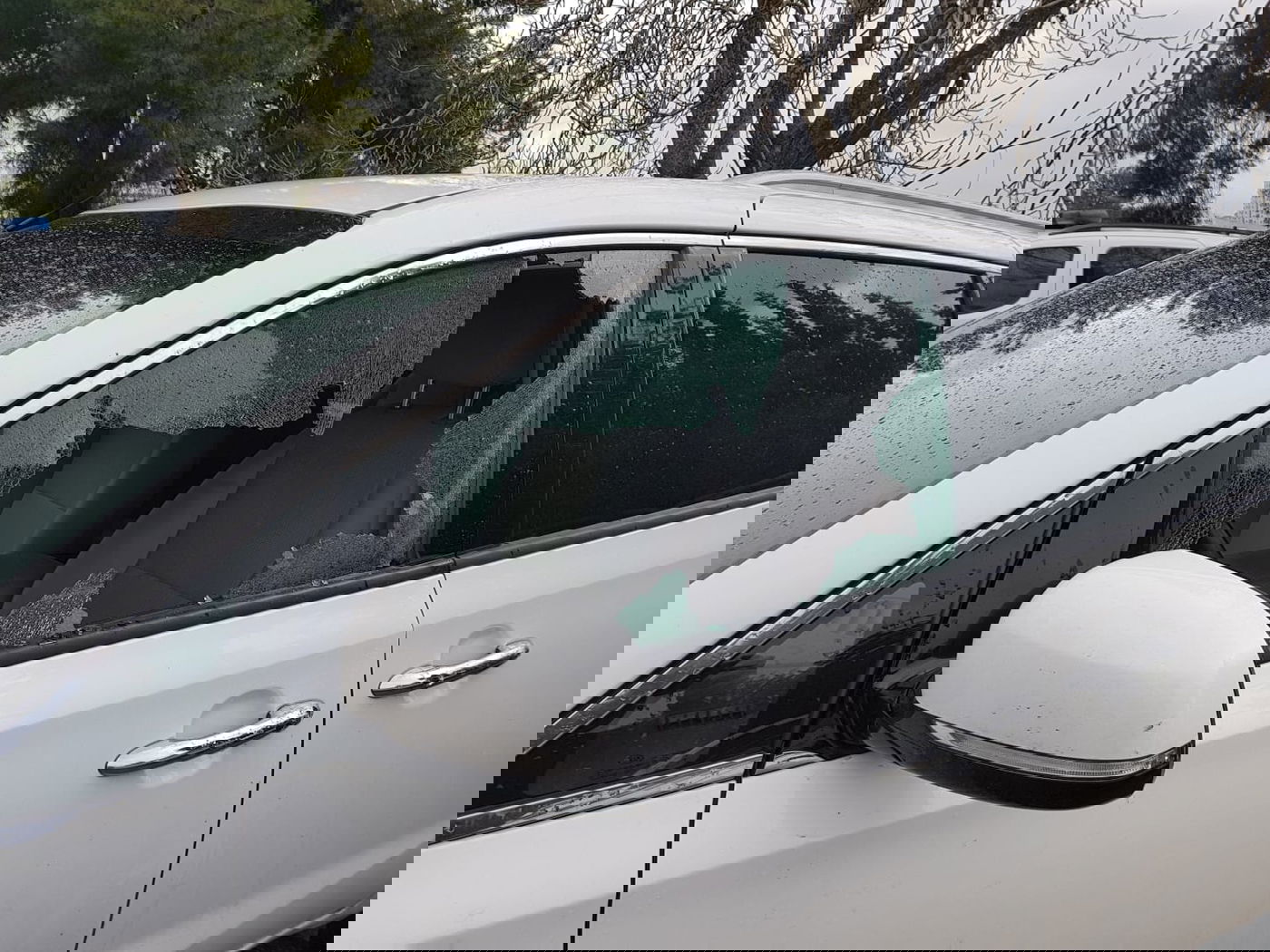 וונדליזם בגבעה הצרפתית: עשרות שמשות נופצו הלילה