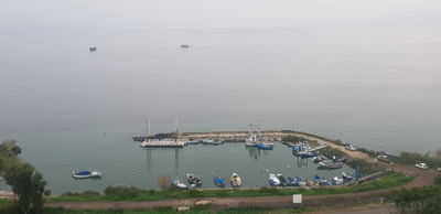 הכנרת השבוע