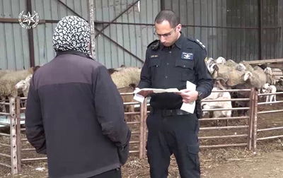המשטרה פעלה נגד עבירות צער בעלי חיים