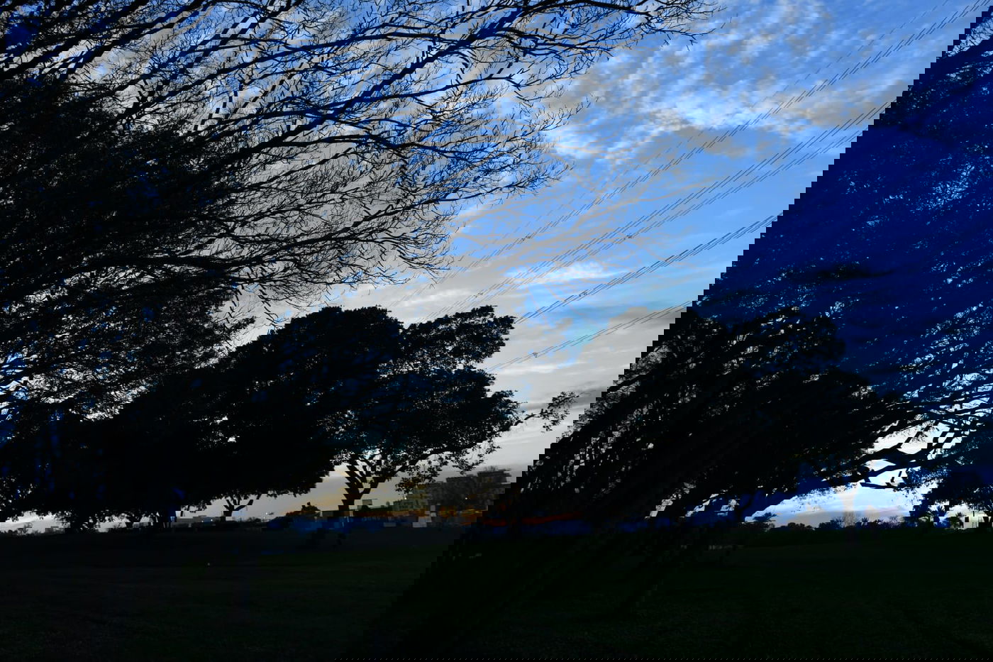 סיור ל"גני יהושע" דרך עדשת המצלמה •  צפו