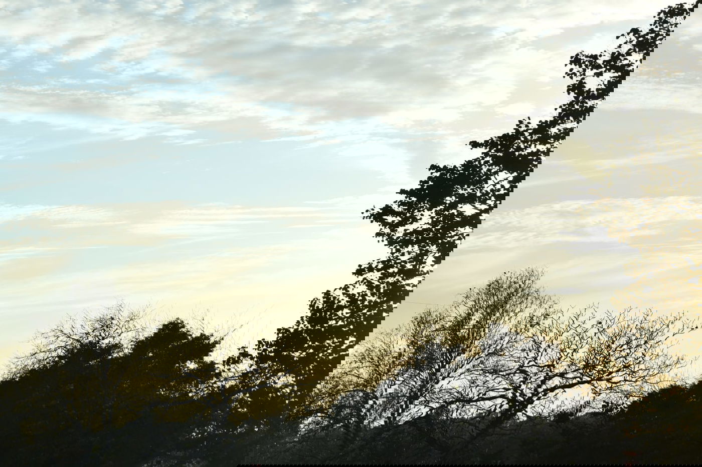 סיור ל"גני יהושע" דרך עדשת המצלמה •  צפו