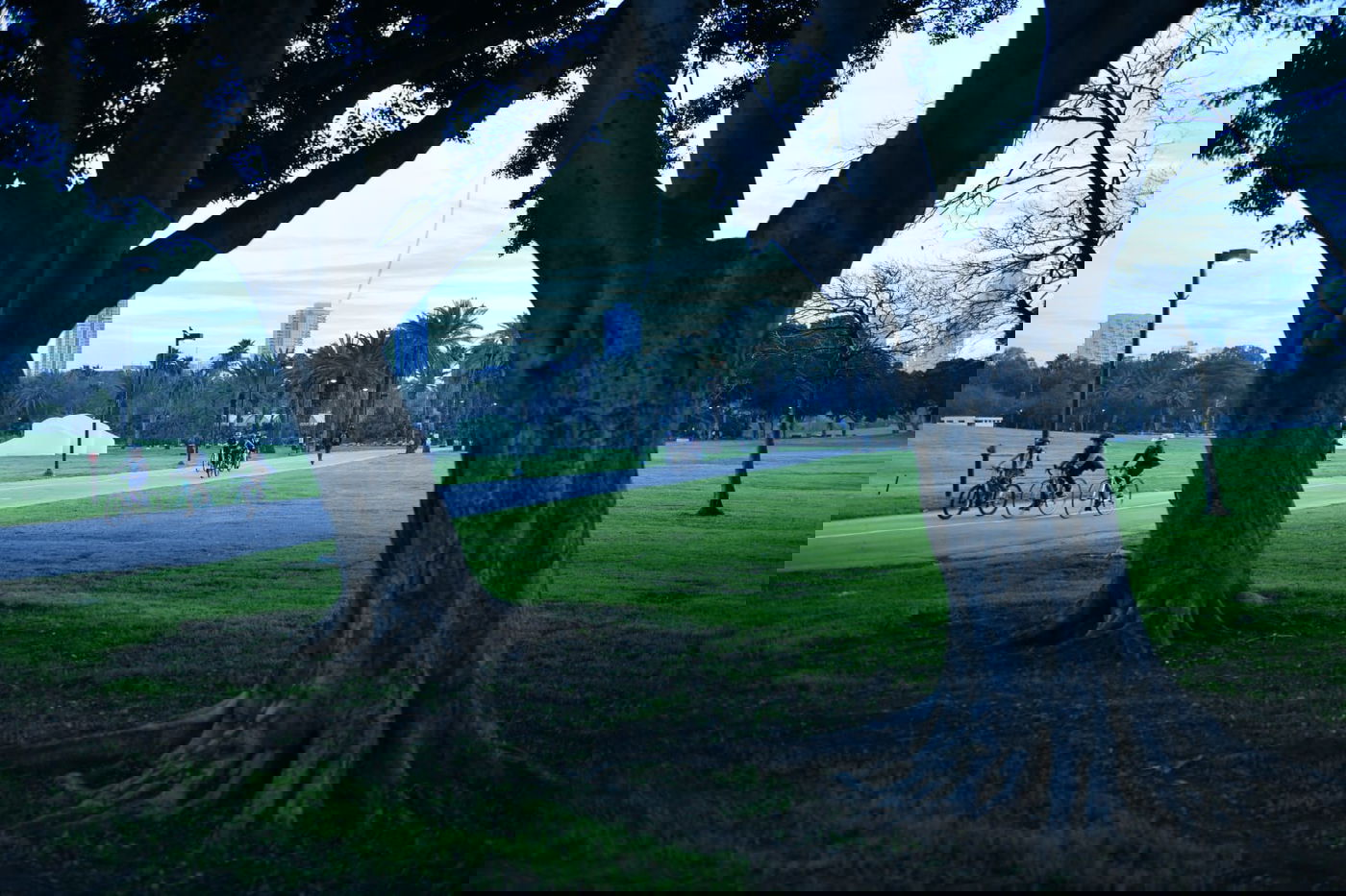 סיור ל"גני יהושע" דרך עדשת המצלמה •  צפו