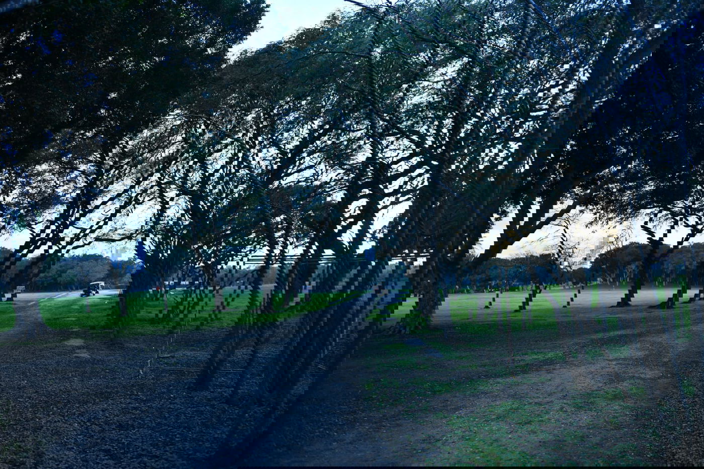 סיור ל"גני יהושע" דרך עדשת המצלמה •  צפו