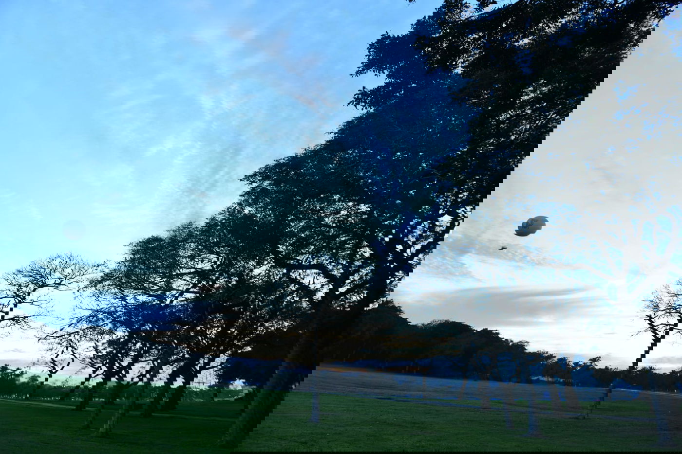 סיור ל"גני יהושע" דרך עדשת המצלמה •  צפו