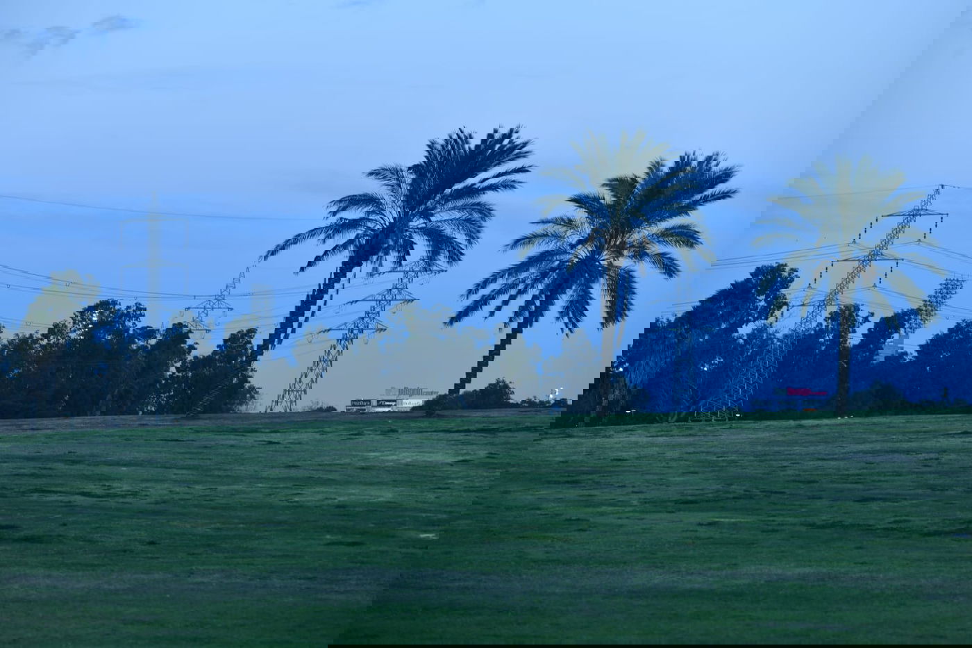 סיור ל"גני יהושע" דרך עדשת המצלמה •  צפו