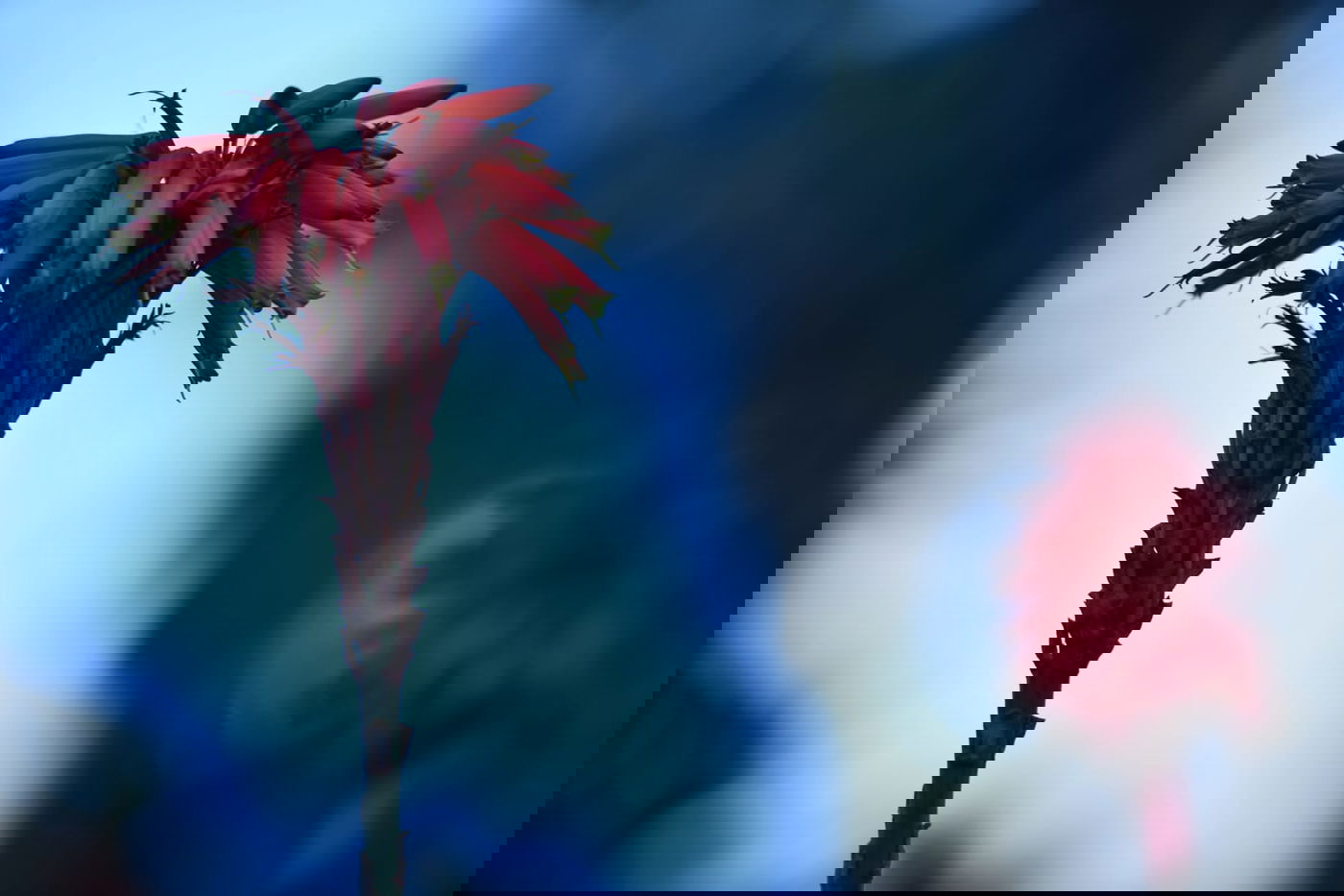 סיור ל"גני יהושע" דרך עדשת המצלמה •  צפו