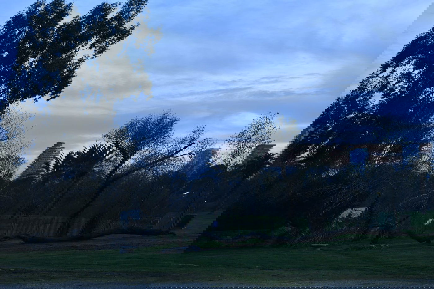 סיור ל"גני יהושע" דרך עדשת המצלמה •  צפו