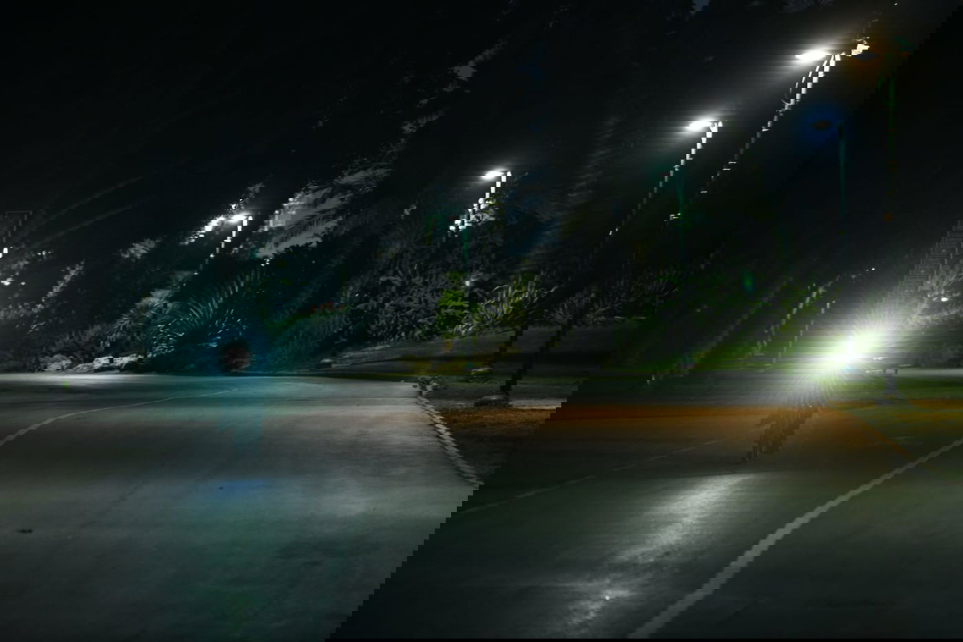 סיור ל"גני יהושע" דרך עדשת המצלמה •  צפו