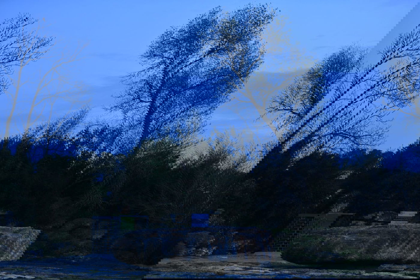 סיור ל"גני יהושע" דרך עדשת המצלמה •  צפו