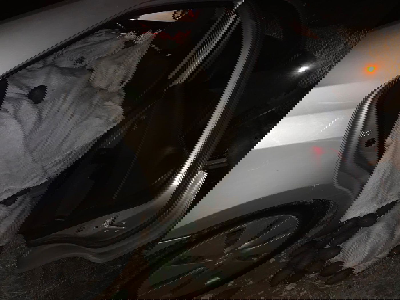 מאות ק"ג אבוקדו גנוב נתפסו לאחר מרדף