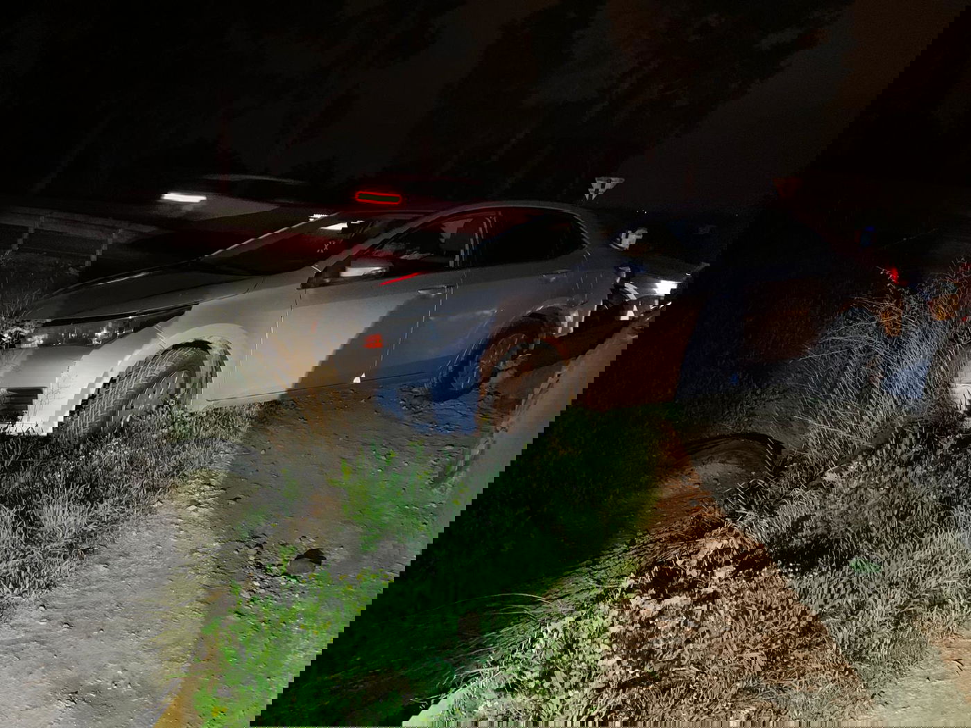 מאות ק"ג אבוקדו גנוב נתפסו לאחר מרדף