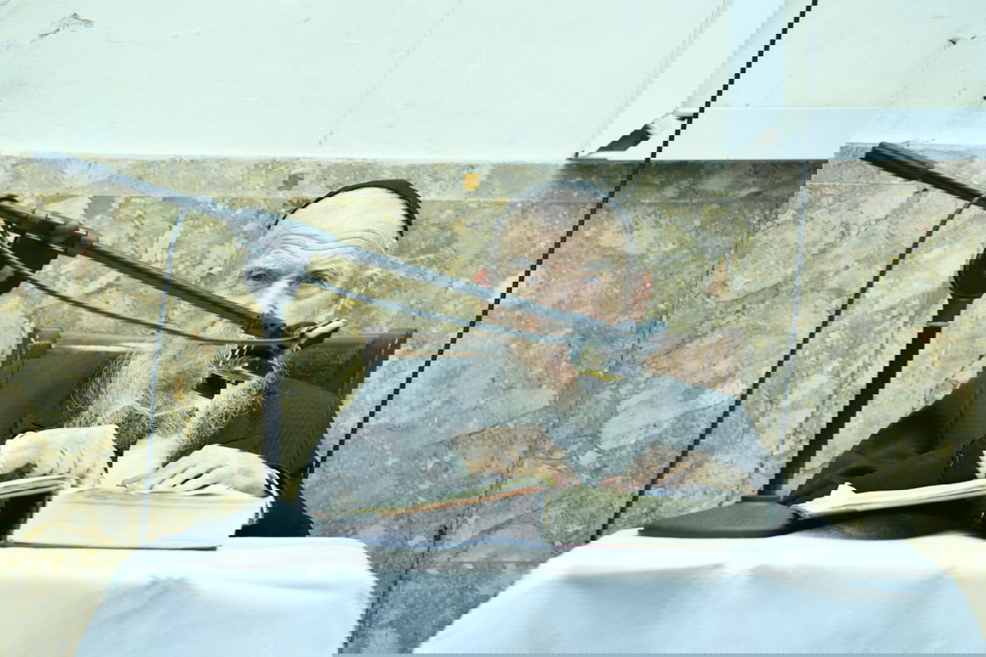 הגר"ג מסר שיעור והמריץ: "לקדש שם שמיים"