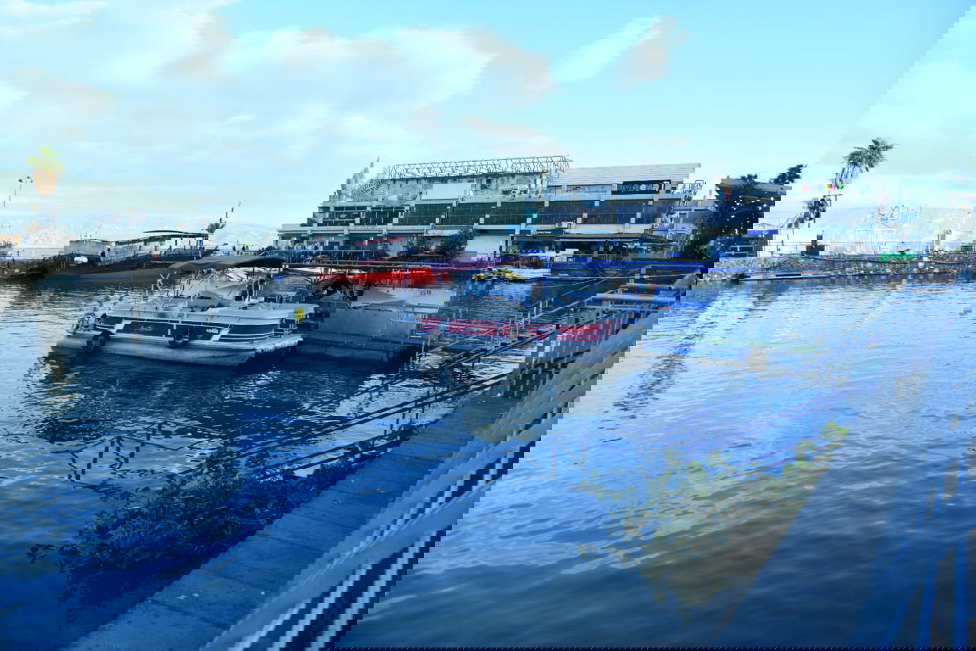 הכנרת מלאה: צפו בגלריה מהחורף המבורך