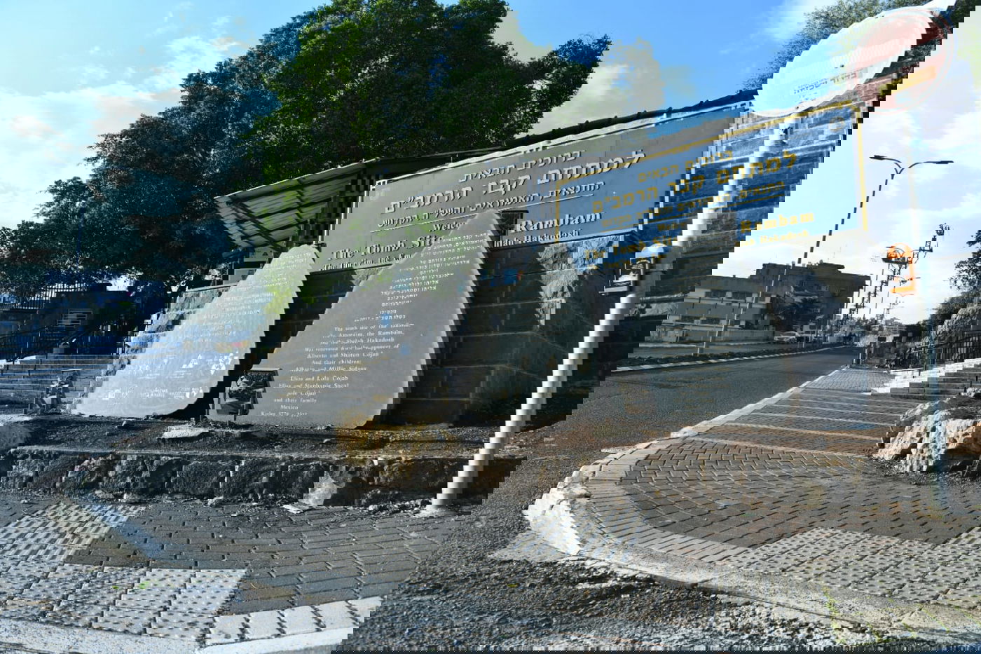 הכנרת מלאה: צפו בגלריה מהחורף המבורך