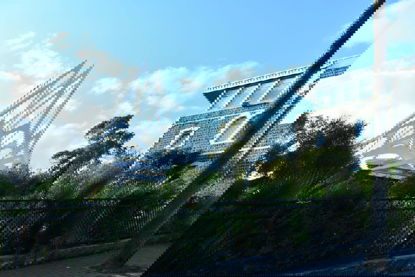 הכנרת מלאה: צפו בגלריה מהחורף המבורך