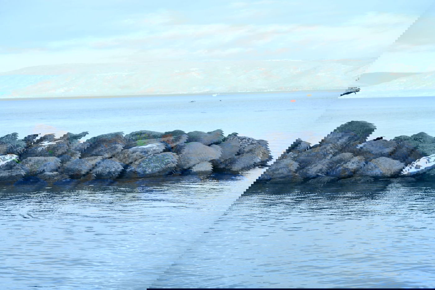 הכנרת מלאה: צפו בגלריה מהחורף המבורך