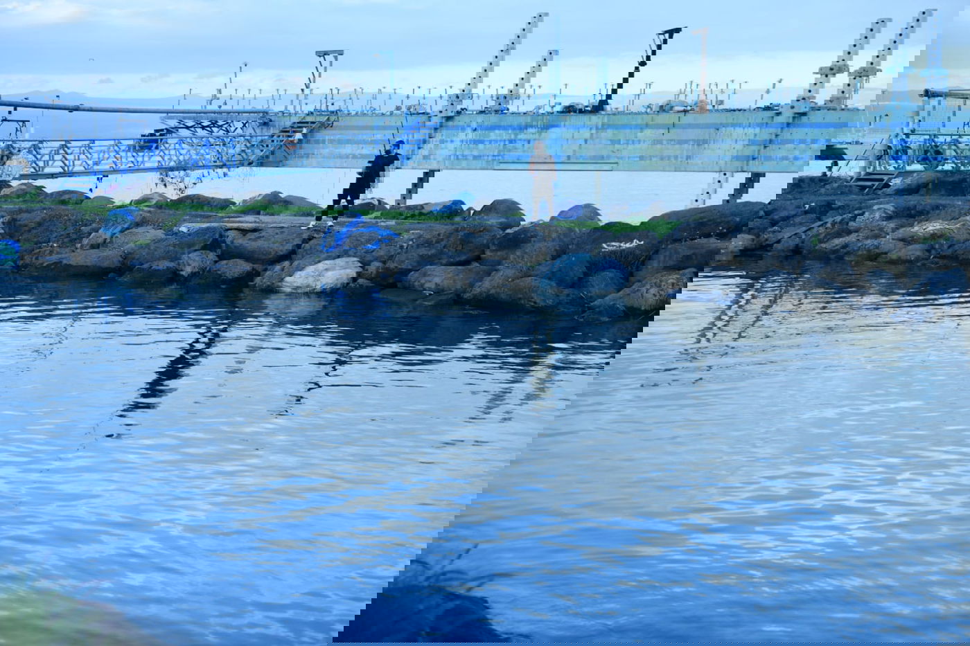 הכנרת מלאה: צפו בגלריה מהחורף המבורך