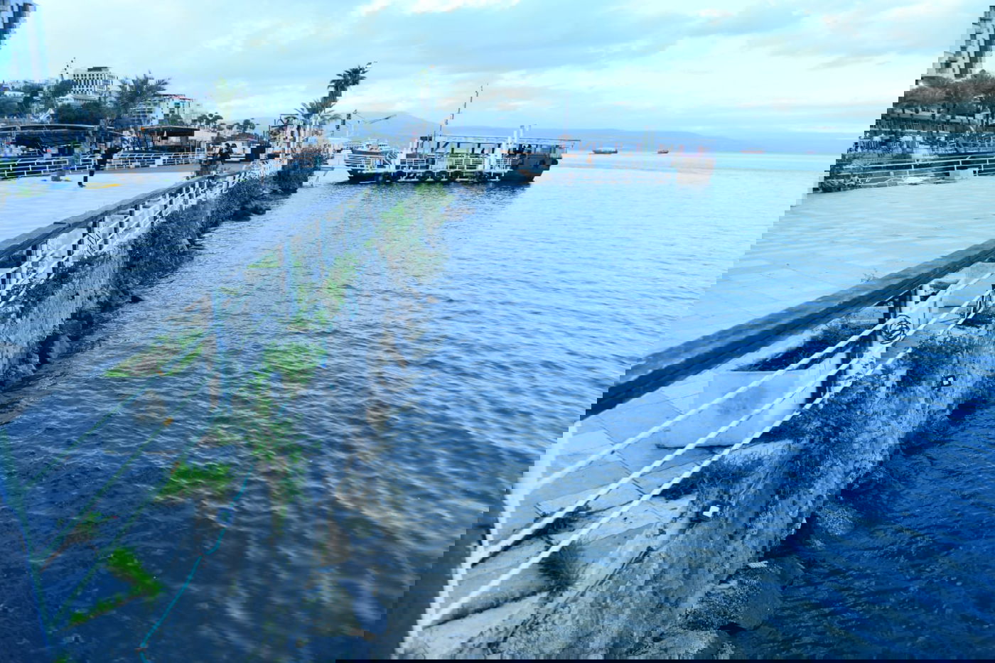 הכנרת מלאה: צפו בגלריה מהחורף המבורך