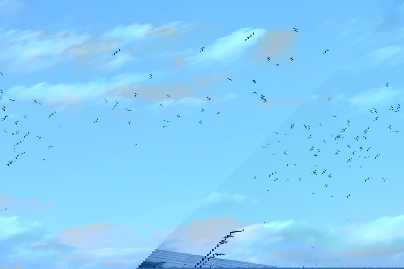 הכנרת מלאה: צפו בגלריה מהחורף המבורך