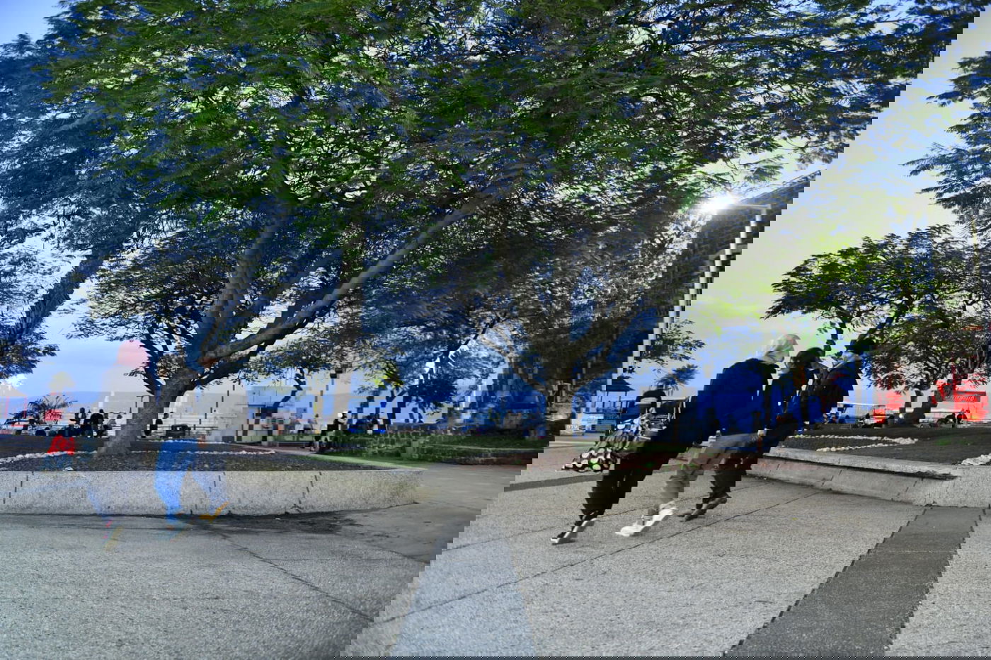 הכנרת מלאה: צפו בגלריה מהחורף המבורך