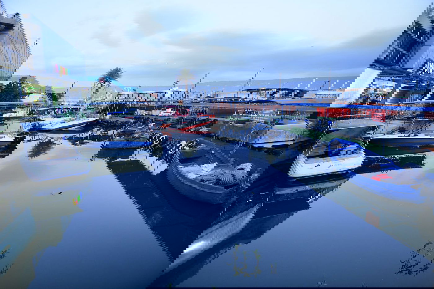 הכנרת מלאה: צפו בגלריה מהחורף המבורך