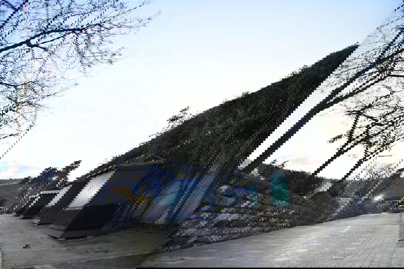 הכנרת מלאה: צפו בגלריה מהחורף המבורך