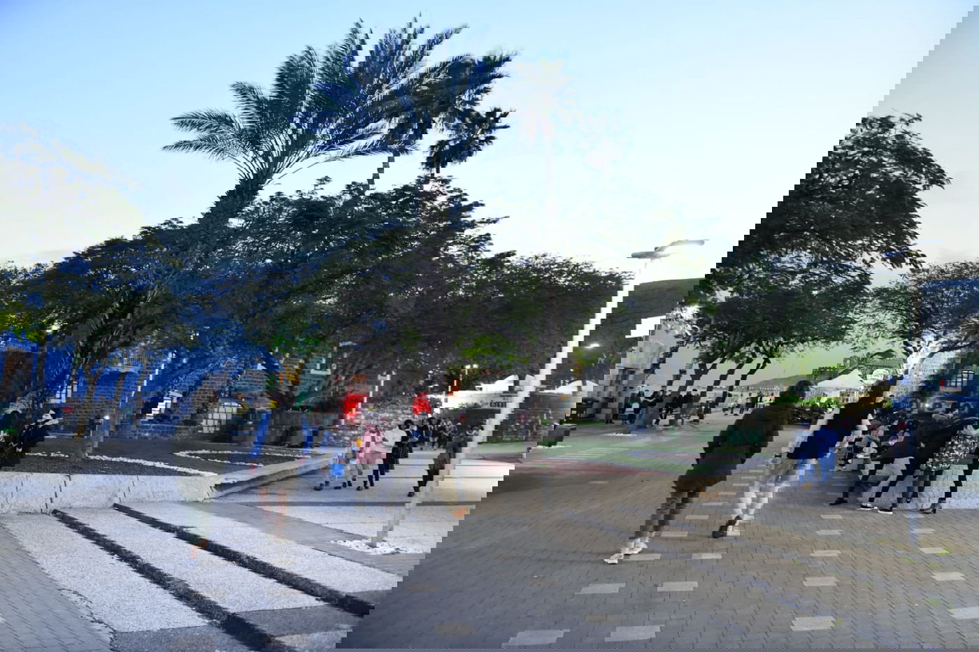 הכנרת מלאה: צפו בגלריה מהחורף המבורך