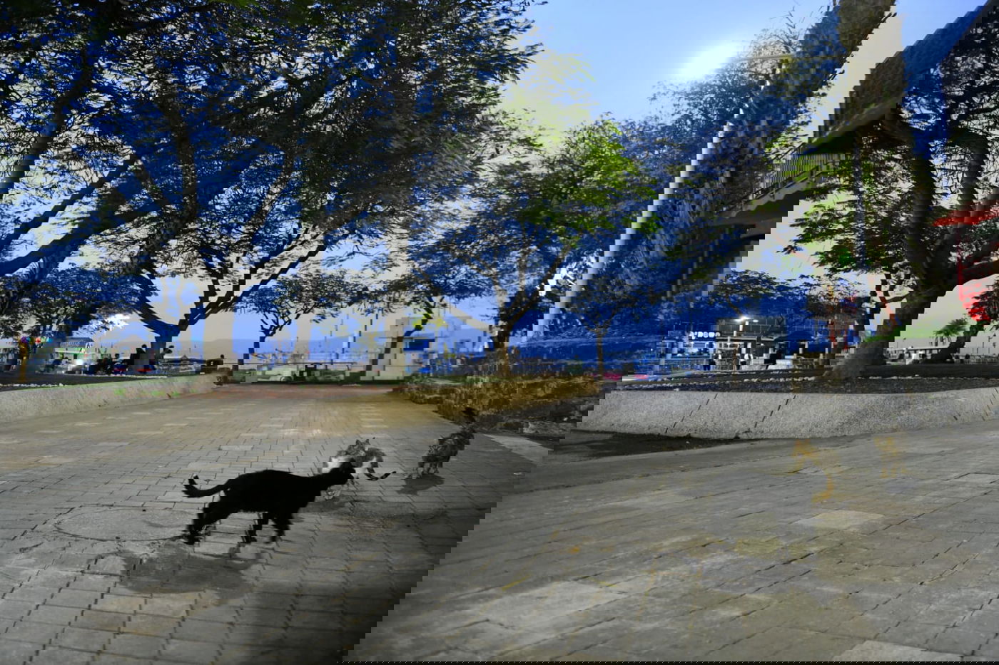 הכנרת מלאה: צפו בגלריה מהחורף המבורך