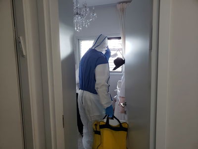 צוות הבדיקה בבית המשגיח